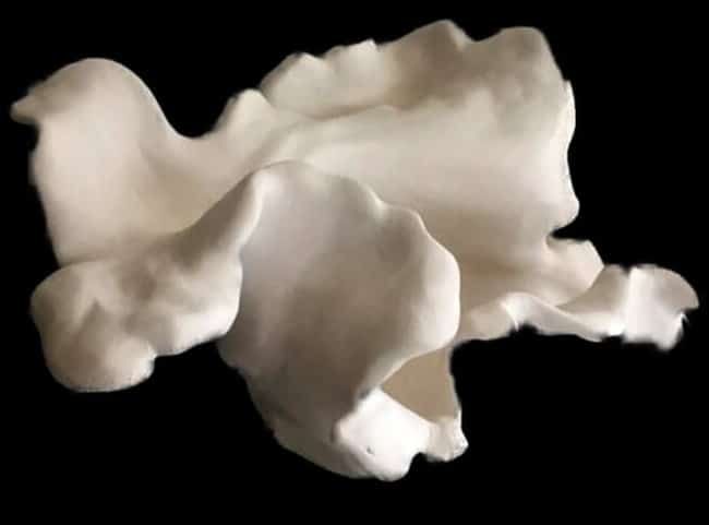 La P&rsquo;tite Galerie