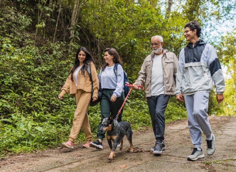 Voyagez avec votre chien !